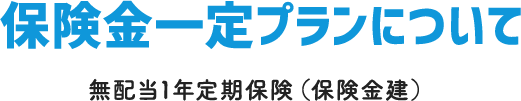 保険金一定プランについて